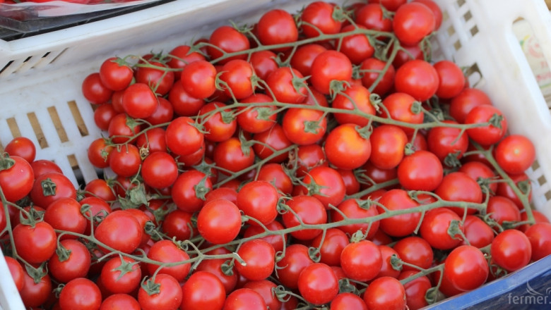 Вносът на домати продължава да расте
