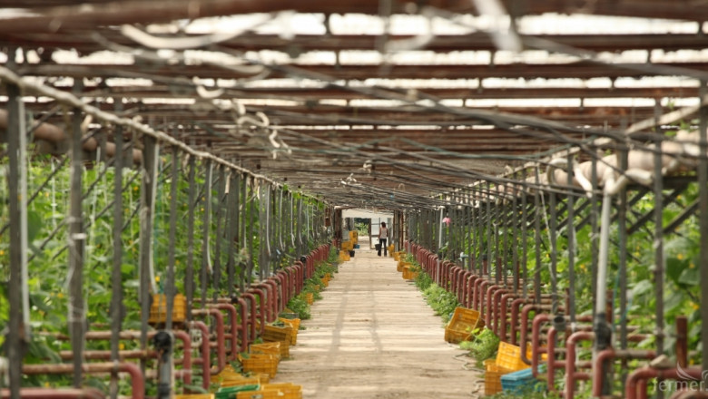 Оранжериите ще теглят напред зеленчукопроизводството
