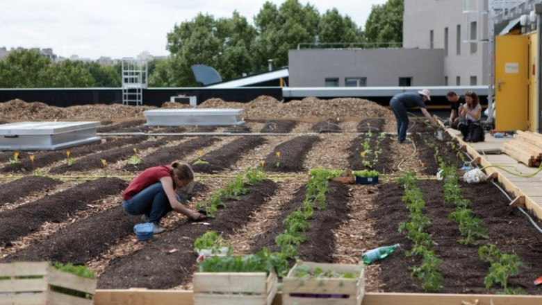 Градско земеделие върху покривите на Париж