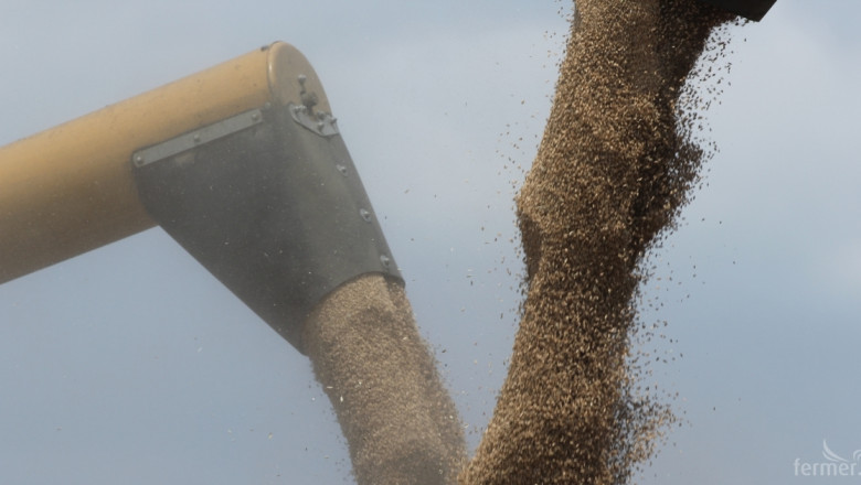 74 хил. тона пшеница са изнесени за седмица