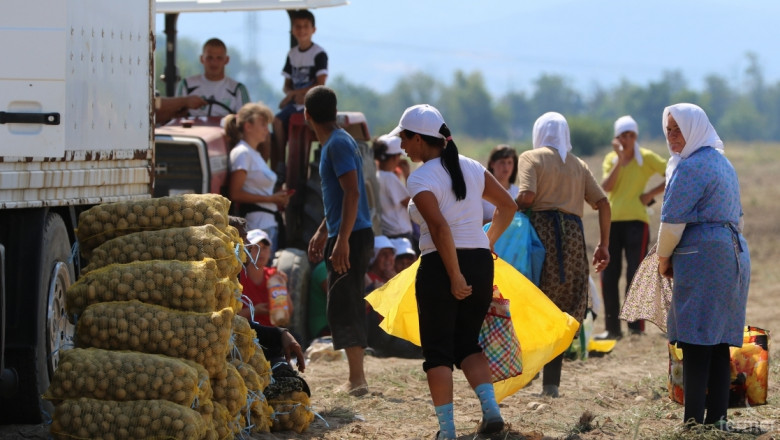 До близо 12 000 нараснаха еднодневните трудови договори в Добричко
