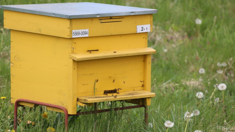 Еко метод за борба с вредителите по пчелите