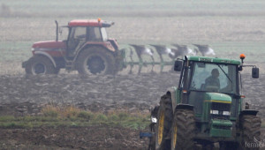 FEDIOL се противопостави на премахването на конвенционалните биогорива  - Agri.bg