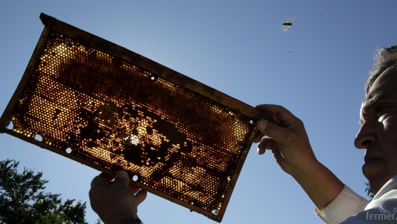 До днес пчелари заявяват плащане по Пчеларската програма