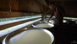 ЕС доминира в световния износ на млечни продукти - Agri.bg