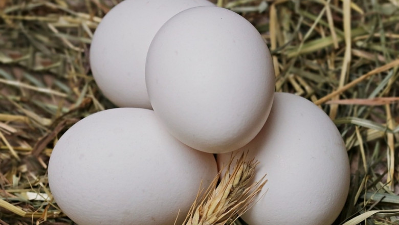 Милиони яйца бяха изтеглени от европейски магазини 