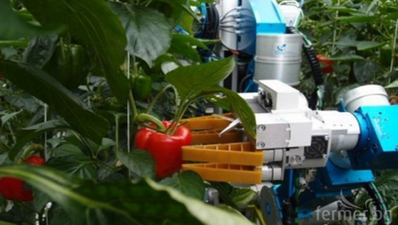 Роботи ще съкратят с 90% разходите за борба с плевелите 