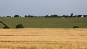 Община Тервел предлага земеделски земи на търг - Agri.bg
