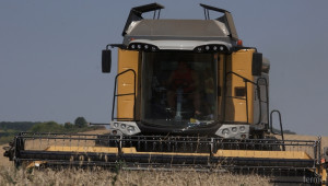 Половината площи с пшеница в страната са реколтирани  - Agri.bg