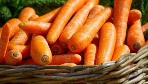 Европейският пазар на моркови е в пълен колапс?  - Agri.bg