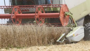 3/4 от реколтата от пшеница в Русенско е прибрана - Agri.bg