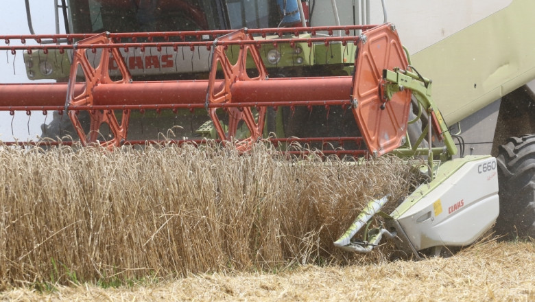 3/4 от реколтата от пшеница в Русенско е прибрана