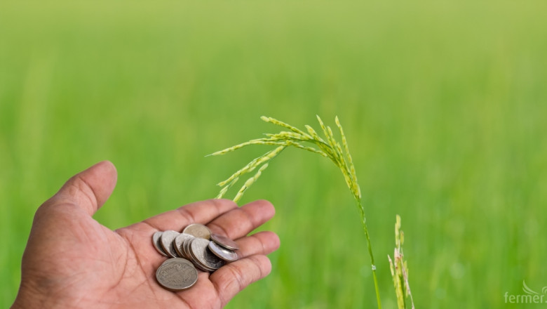 Анализ: Субсидиране през управление на риска в земеделието*