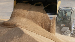 Над 3 600 са регистрираните обекти за съхранение на зърно - Agri.bg