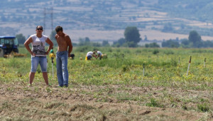 Фермер сред 18-те най-желани професии в България - Agri.bg