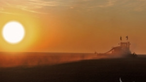Как колебанието на температурите влияе на качеството на пшеницата - Agri.bg