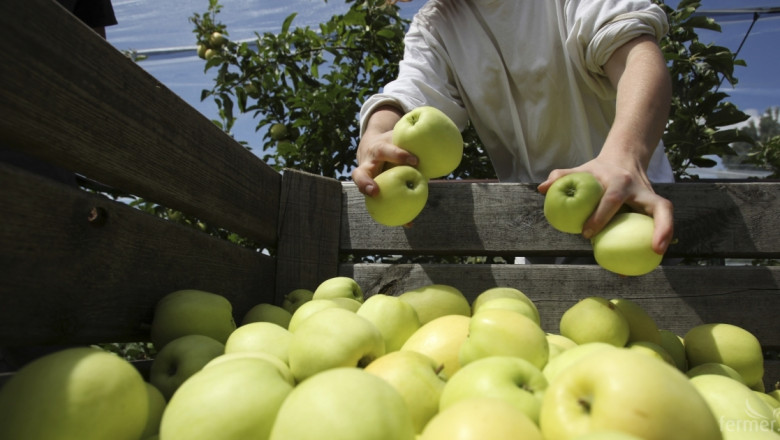 ЕК задели още 70 млн. евро за производителите на плодове 