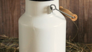 Цената на млякото се възстановява  - Agri.bg