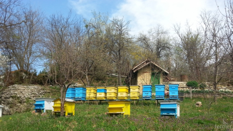 Приложение решава проблема с пчелите и пръскането