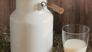 Фирма ще снабдява пазара с непастьоризирано мляко - Agri.bg