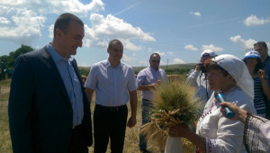 Зам.-министър Добрев: Над 5 млн. тона се очаква да е реколтата от пшеница - Agri.bg