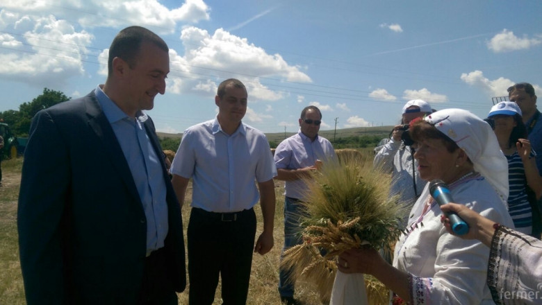 Зам.-министър Добрев: Над 5 млн. тона се очаква да е реколтата от пшеница