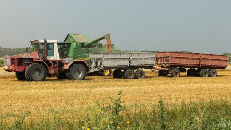 САЩ повиши прогнозата за световната реколта от пшеница