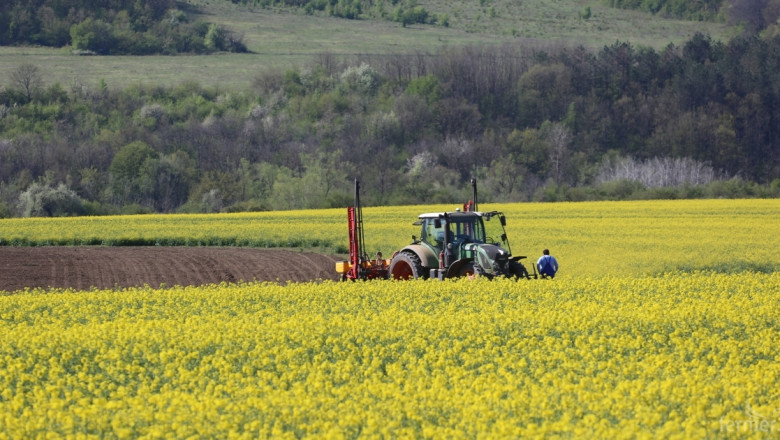 2-4% по-слаба зърнена реколта в България