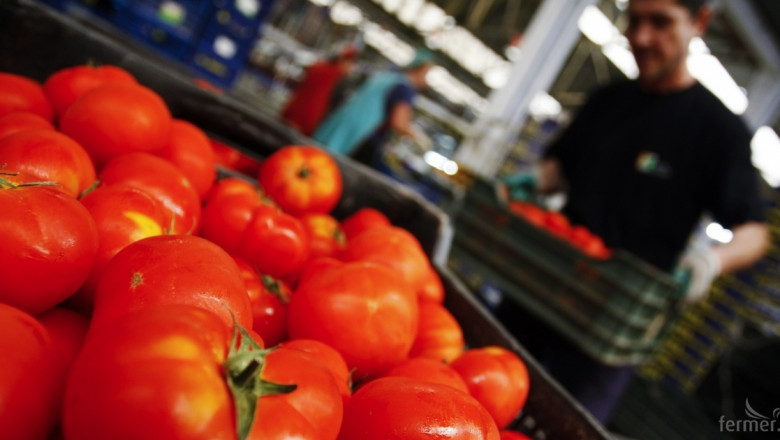 Най-големите износители на домати през 2016 г. 