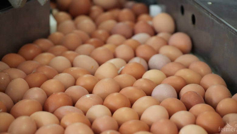 Стойността на яйцата се върна на нивата от февруари 