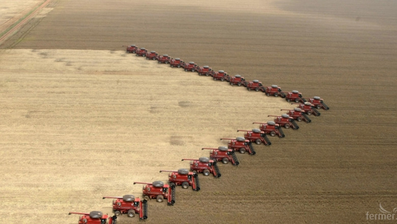 5,2 млн. т пшеница ще произведем тази година 