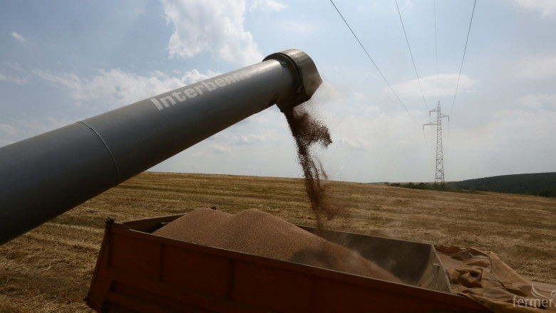 Около 450-500 кг/дка е очакваният среден добив от пшеницата в Добричко
