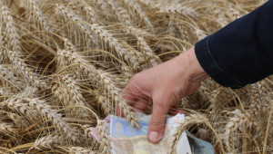 Осъдиха земеделски производител за злоупотреба със субсидии  - Agri.bg