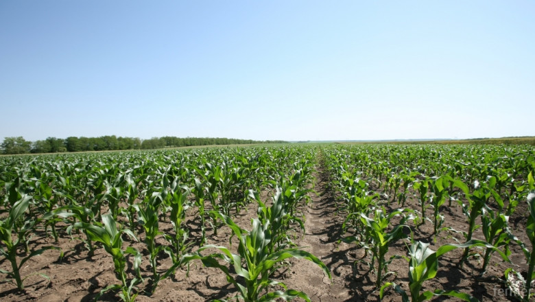Франция приключи предсрочно със сеенето на царевица