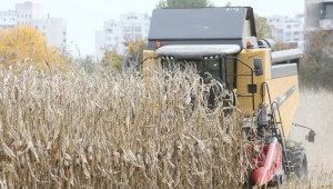 Китай увеличава субсидиите за производство на соя  - Agri.bg
