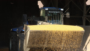 САЩ изнесе 67% повече царевица  - Agri.bg