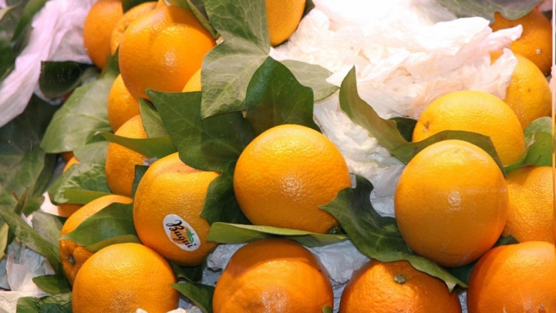 Рекордни цени на портокалите и кайсиите в Испания