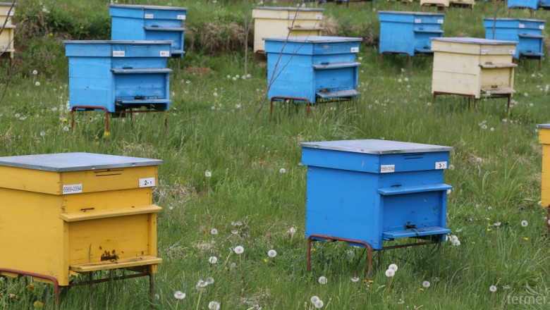 Смарт кошер оптимизира производството на мед 