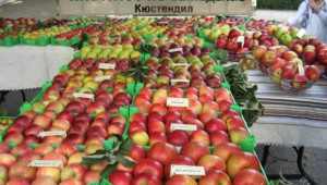 Ябълките поскъпнаха с 9,5%  - Agri.bg