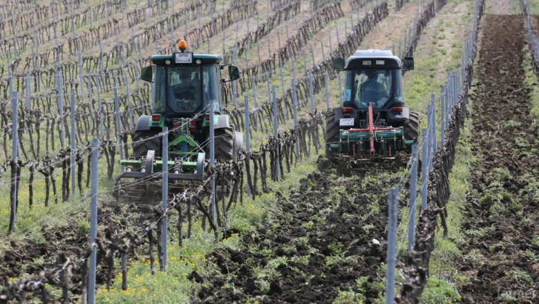 ЕС и Чили се споразумяха за търговията с биопродукти