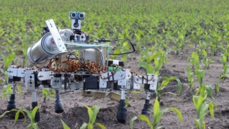 Робот сади семена и открива болните растения