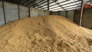 Страната разполага с 6 092 484 тона пшеница   - Agri.bg