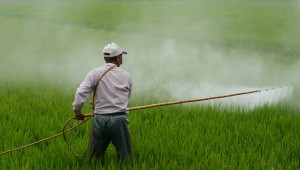 Френски сенатор внесе проект за пестицидите за неземеделски дейности - Agri.bg