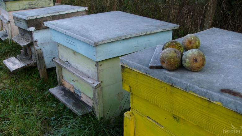 Службата за съвети в земеделието обучава пчелари в Смолян