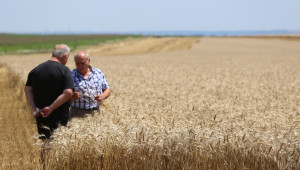 Система за селекция на зърното спестява милиони  - Agri.bg
