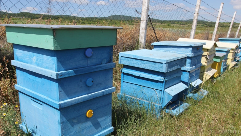 Службата за съвети в земеделието със семинар за пчелари в Плевенско