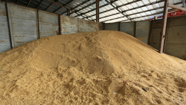 Страната разполага с  6 092 287 тона пшеница 
