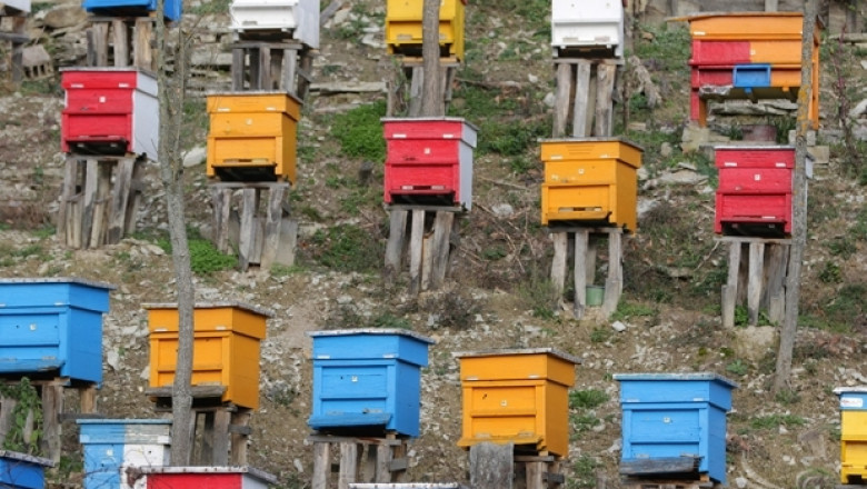 Пчеларите по мярка 214, 10 и 11 трябва да разполагат с идентификационни табелки