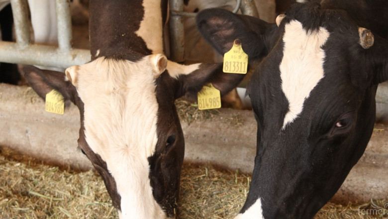 Има ли резултат от схемата за намаляване на производството на краве мляко?