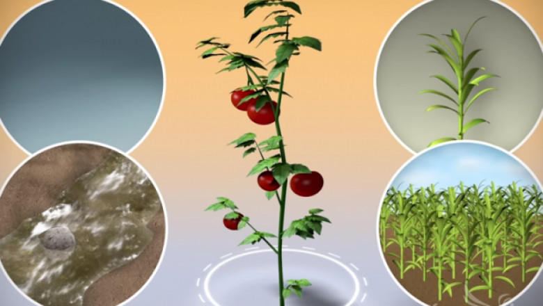 9 израелски иновации в областта на селското стопанство